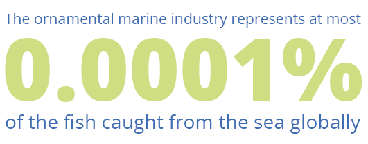 Marine Industry Stat
